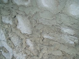 christchurch -1405.jpg